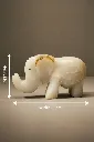 FOS 7.5 PR measures.webp